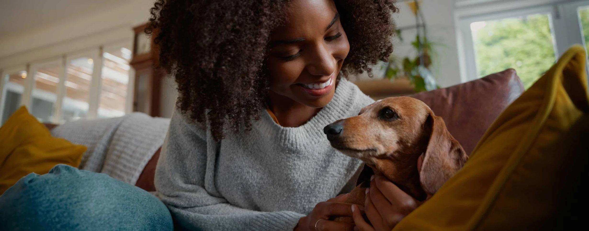 Trusted Care for Every Pet